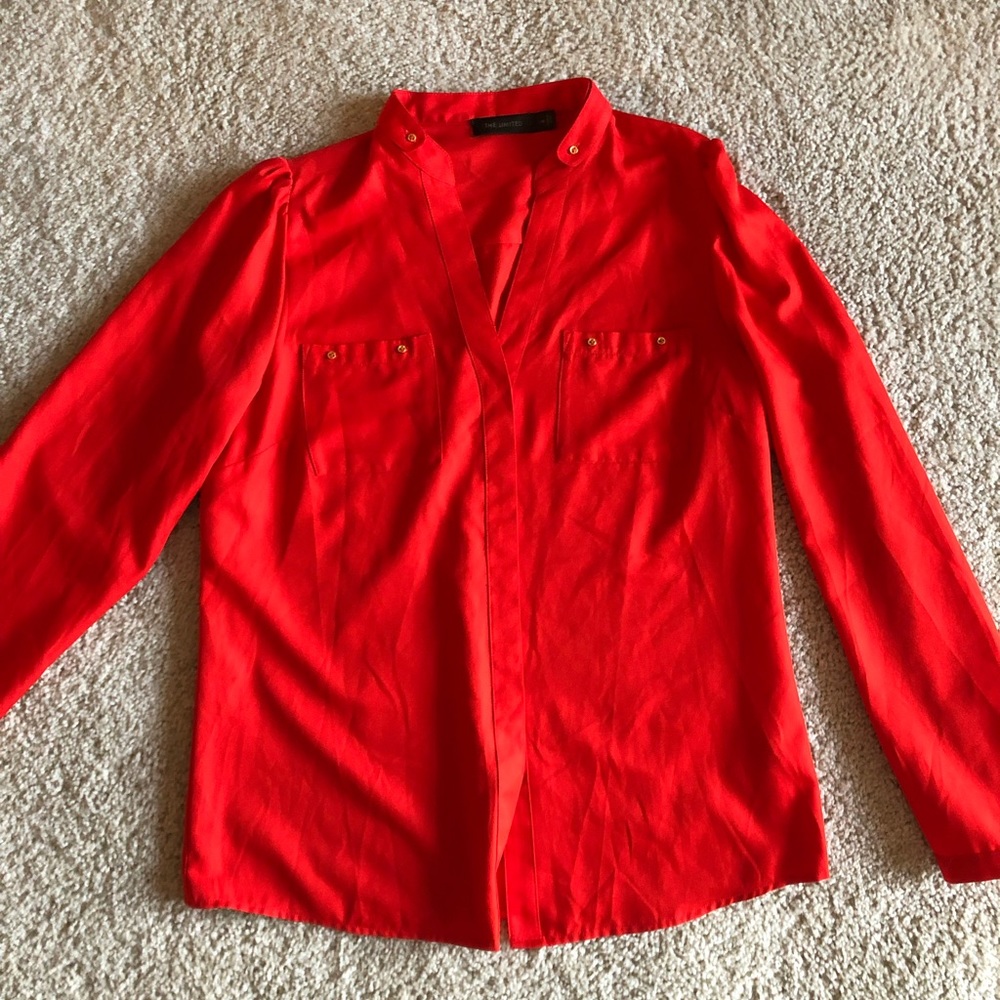 The Limited beautiful blouse!